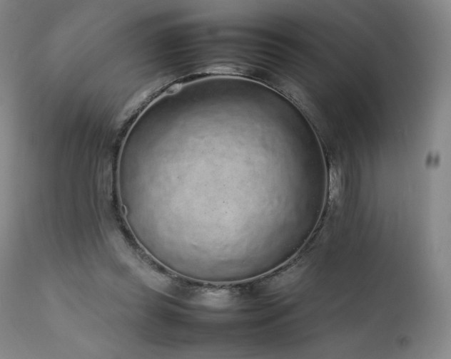 X0000111470349200907131523