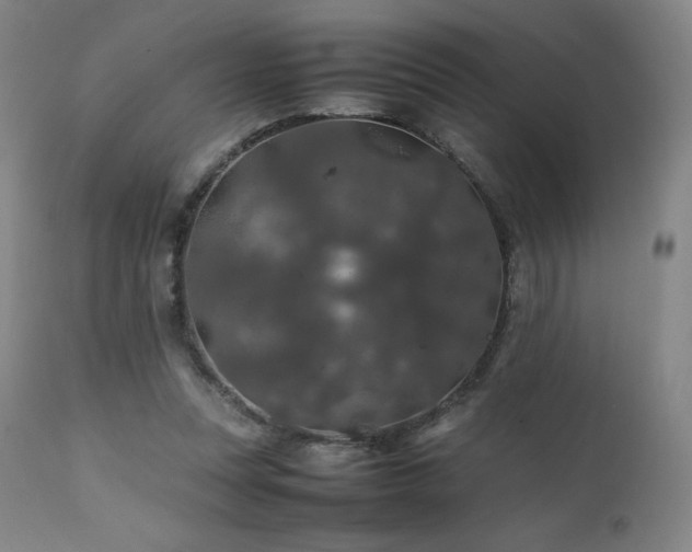 X0000111470351200907131523