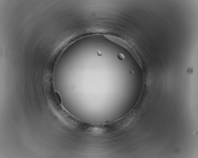 X0000111470352200907131523