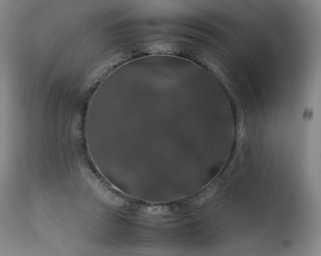X0000111470353200907131523