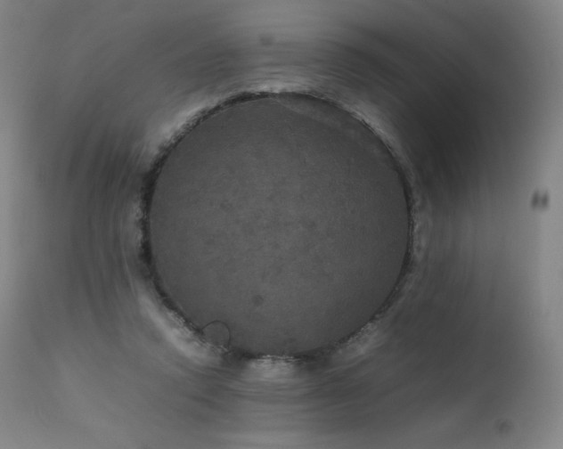 X0000111470354200907131524