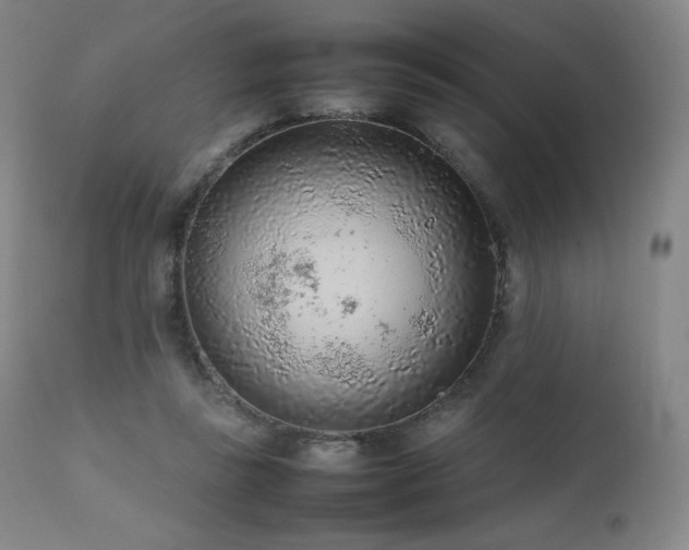 X0000111470355200907131524