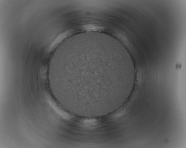X0000111470357200907131524
