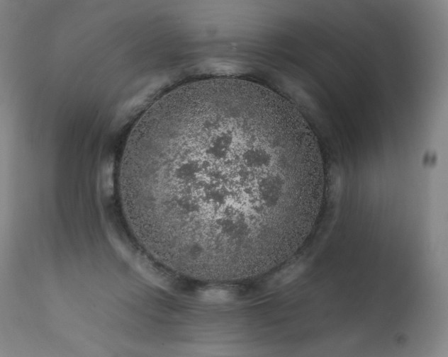 X0000111470358200907131524