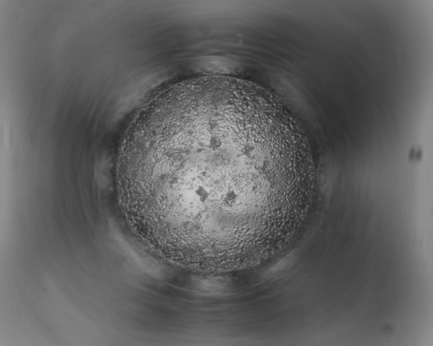 X0000111470359200907131524