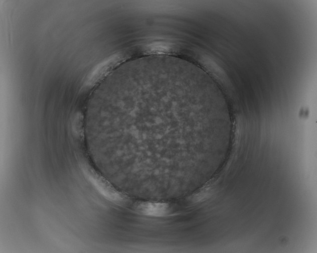 X0000111470361200907131524