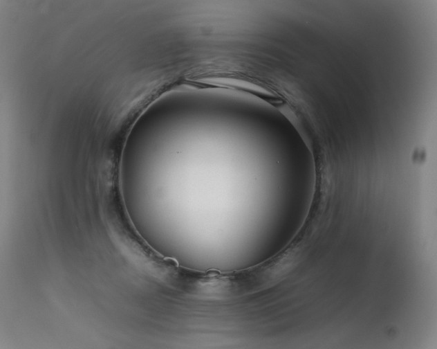 X0000111470362200907131524