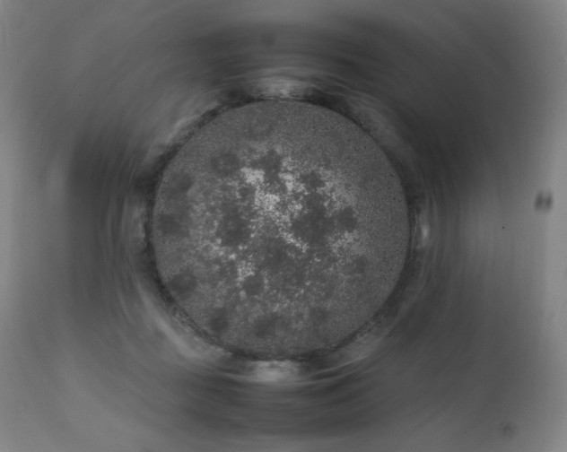 X0000111470363200907131524