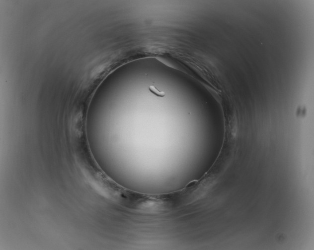 X0000111470364200907131524