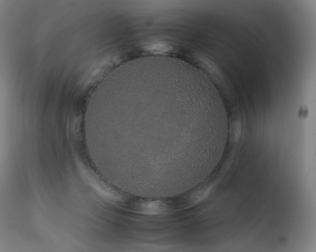 X0000111470365200907131524