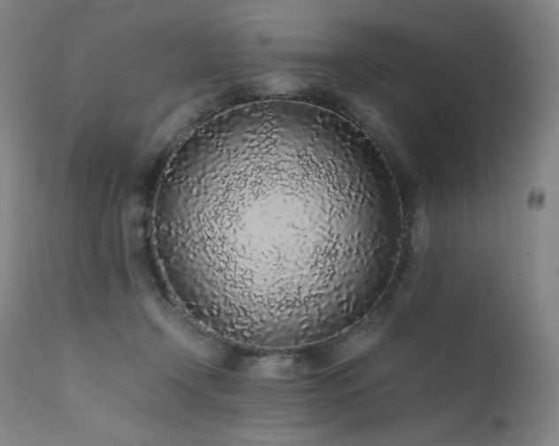 X0000111470366200907131524