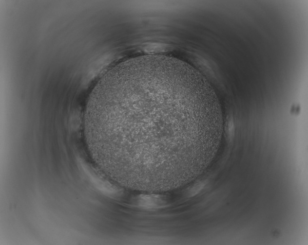 X0000111470367200907131524