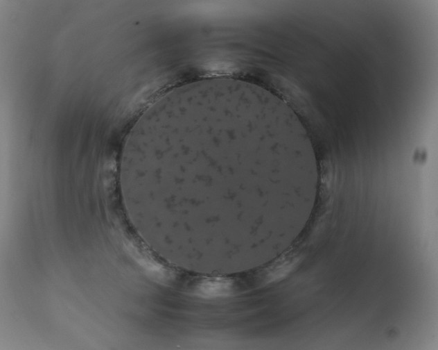 X0000111470369200907131524