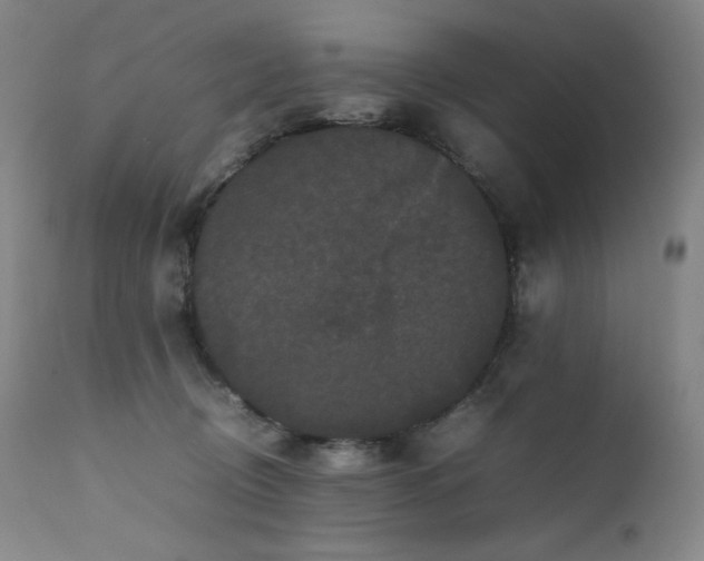X0000111470370200907131524