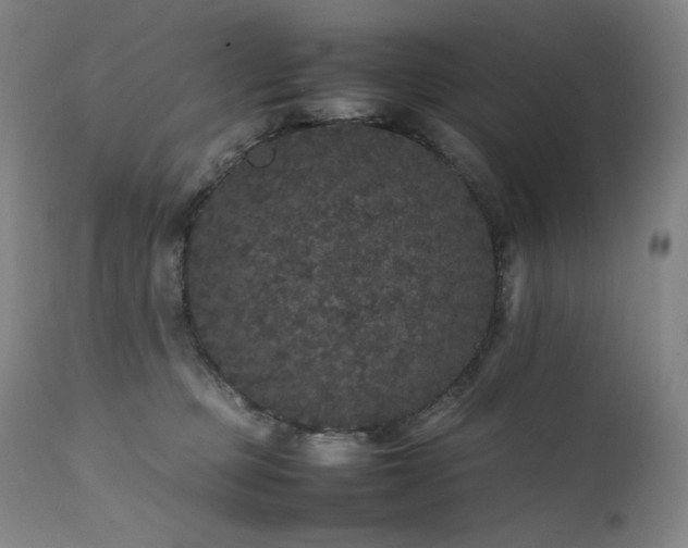 X0000111470373200907131524