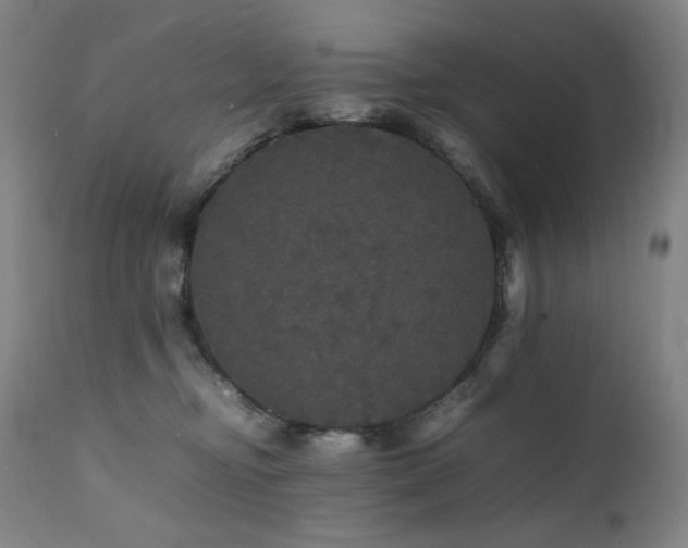 X0000111470374200907131524