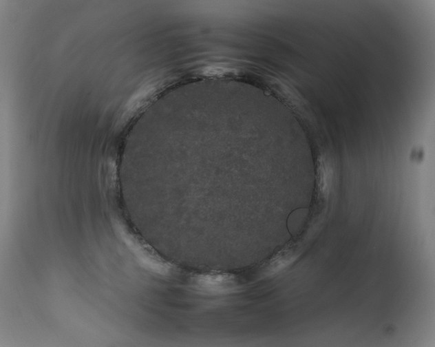X0000111470375200907131524
