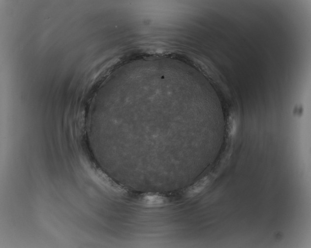X0000111470376200907131524