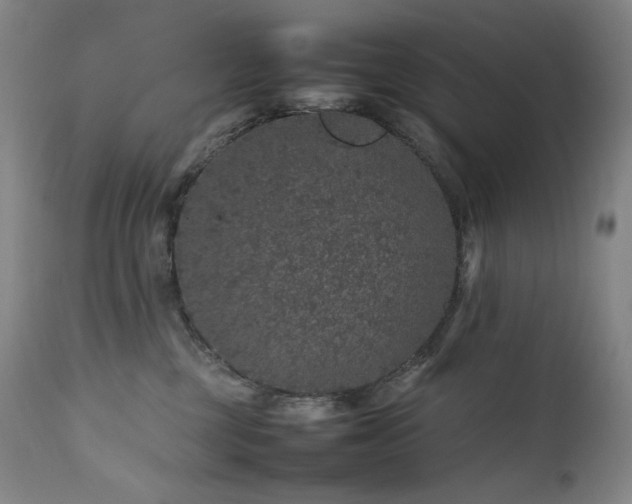 X0000111470377200907131524