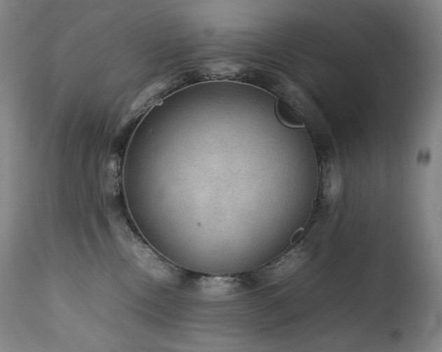 X0000111470378200907131524