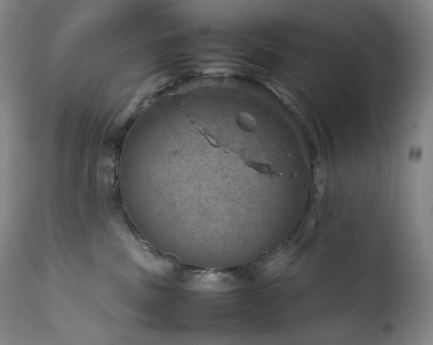 X0000111470379200907131524