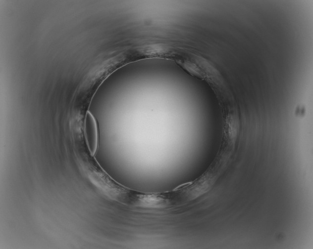X0000111470380200907131524