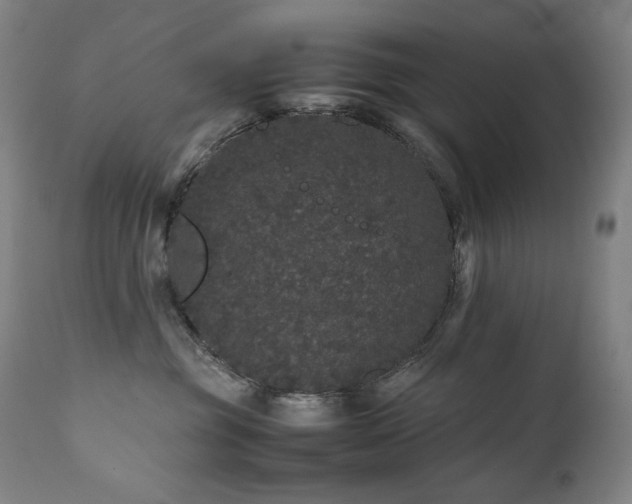 X0000111470381200907131524
