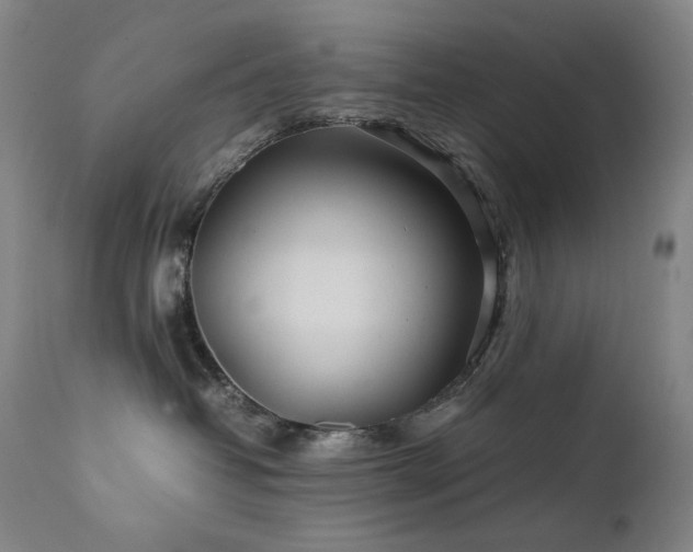 X0000111470382200907131524