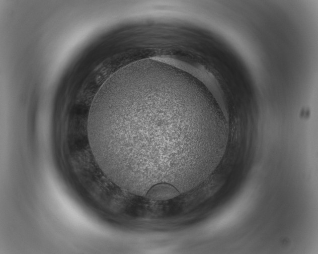 X0000111470383200907131524