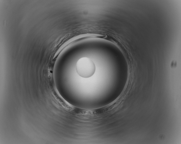 X0000111470384200907131524