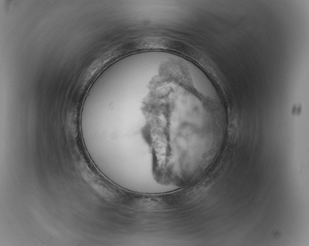 X0000111470386200907131523