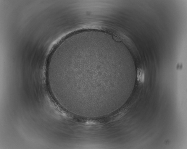 X0000111470388200907131523