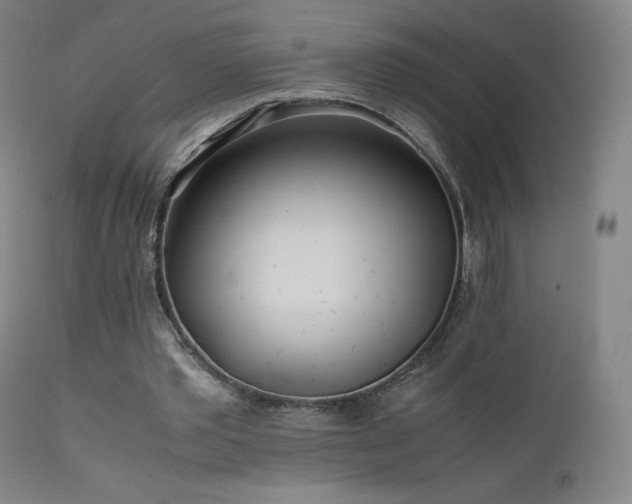 X0000111470389200907131523
