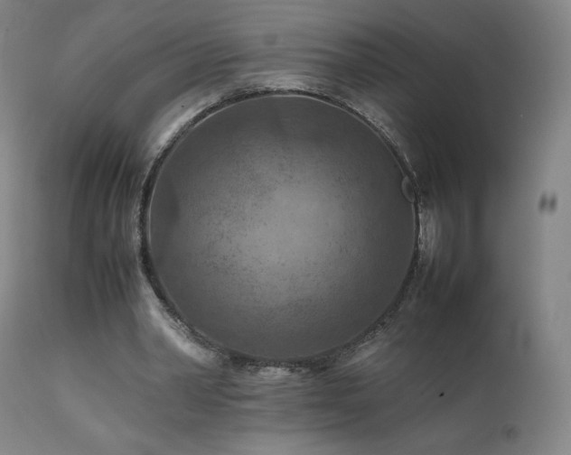 X0000111470390200907131523