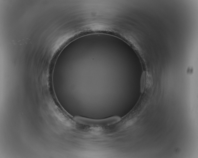 X0000111470391200907131523