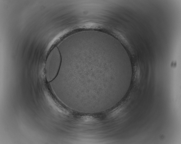 X0000111470392200907131523