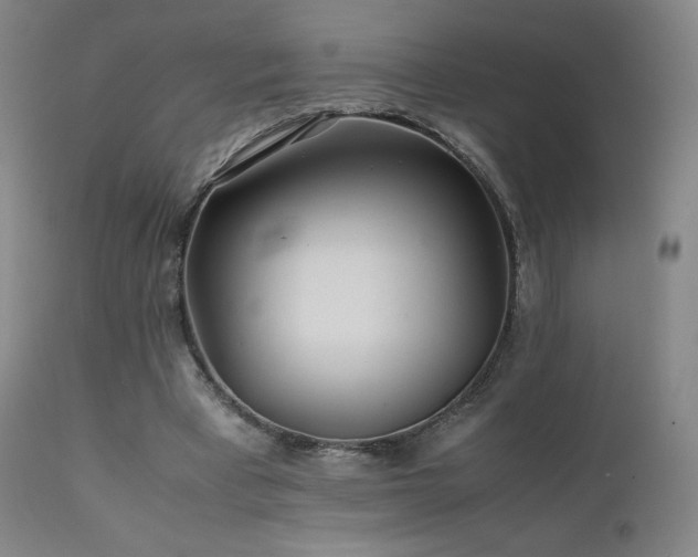 X0000111470393200907131523