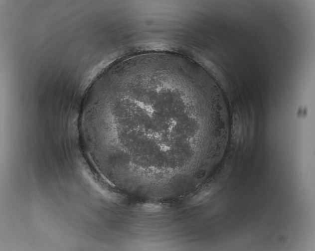 X0000111470394200907131523