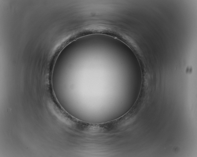 X0000111470399200907131523