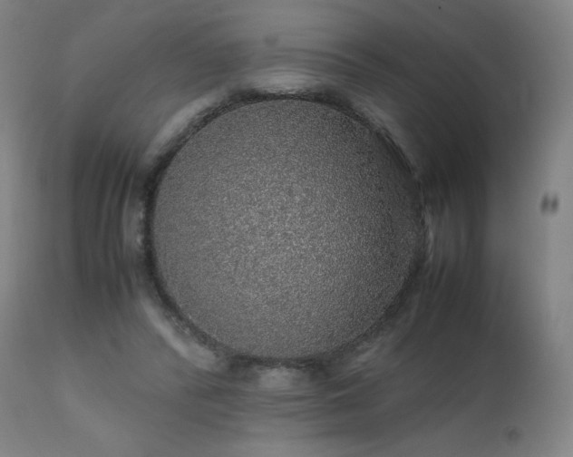 X0000111470400200907131523