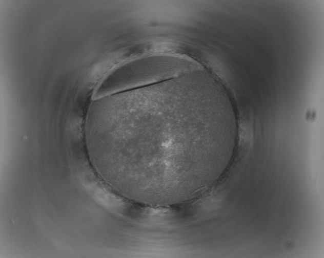 X0000111470401200907131523