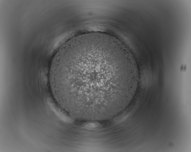 X0000111470402200907131523