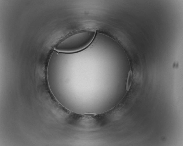X0000111470403200907131523