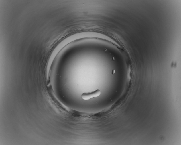 X0000111470405200907131523