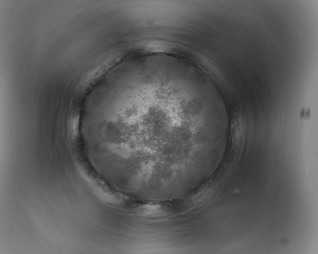 X0000111470406200907131523
