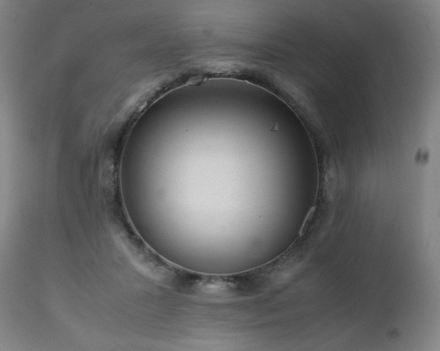 X0000111470407200907131523