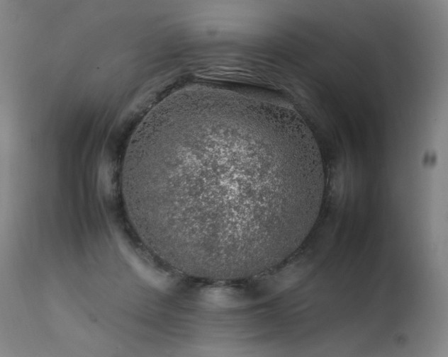 X0000111470408200907131523