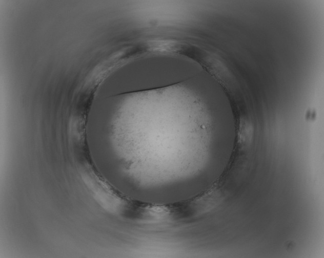 X0000111470409200907131523