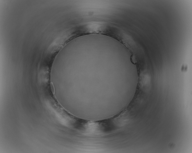 X0000111470413200907131523