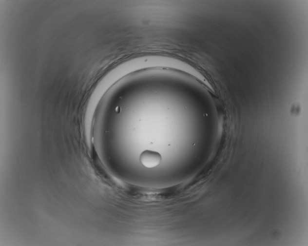 X0000111470415200907131523